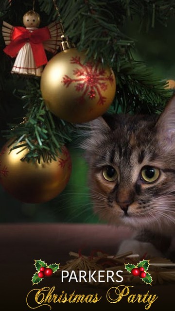 Christmas Snapchat Geofilters